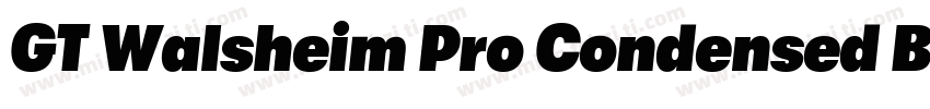 GT Walsheim Pro Condensed Bold字体转换